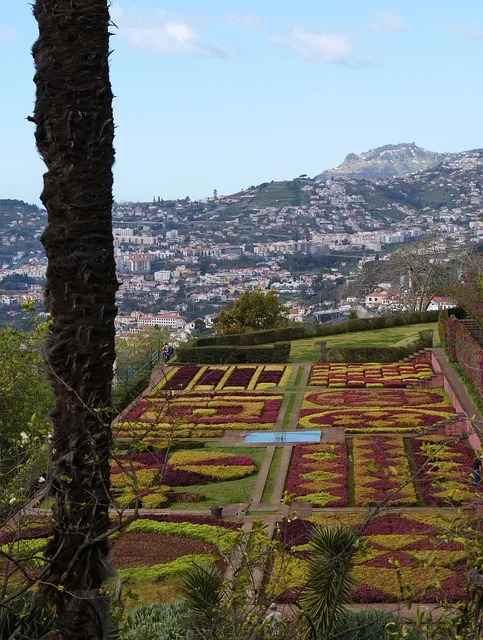 jardin botanique à Madère