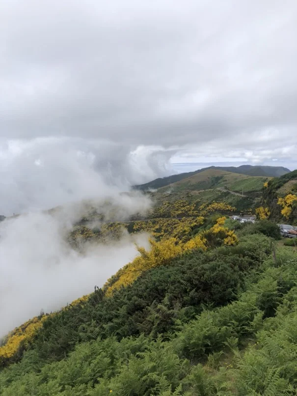 brouillard qui se lève sur les montagnes à Madère