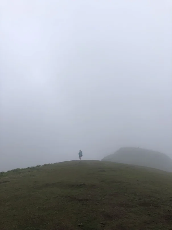Brouillard dans la forêt de fanal à Madère