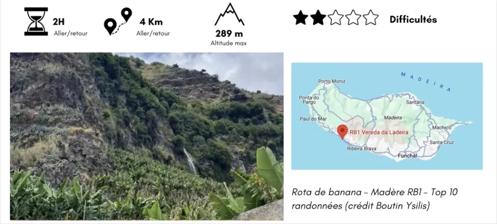 rota de banana à Madère