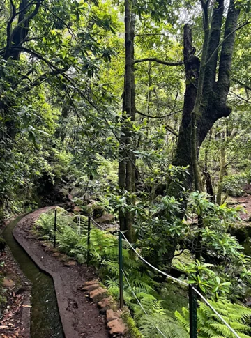 Randonnée à Madère Levada Caldeirao verde (crédit : Boutin Ysilis)